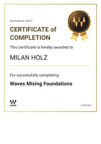 Waves Mixing Foundations Zertifikat